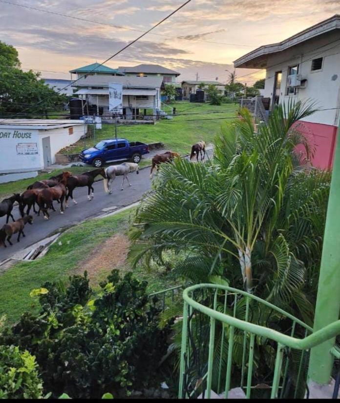 The Seaside Garden Guesthouse Buccoo Luaran gambar