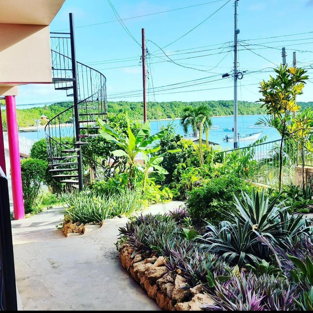 The Seaside Garden Guesthouse Buccoo Luaran gambar