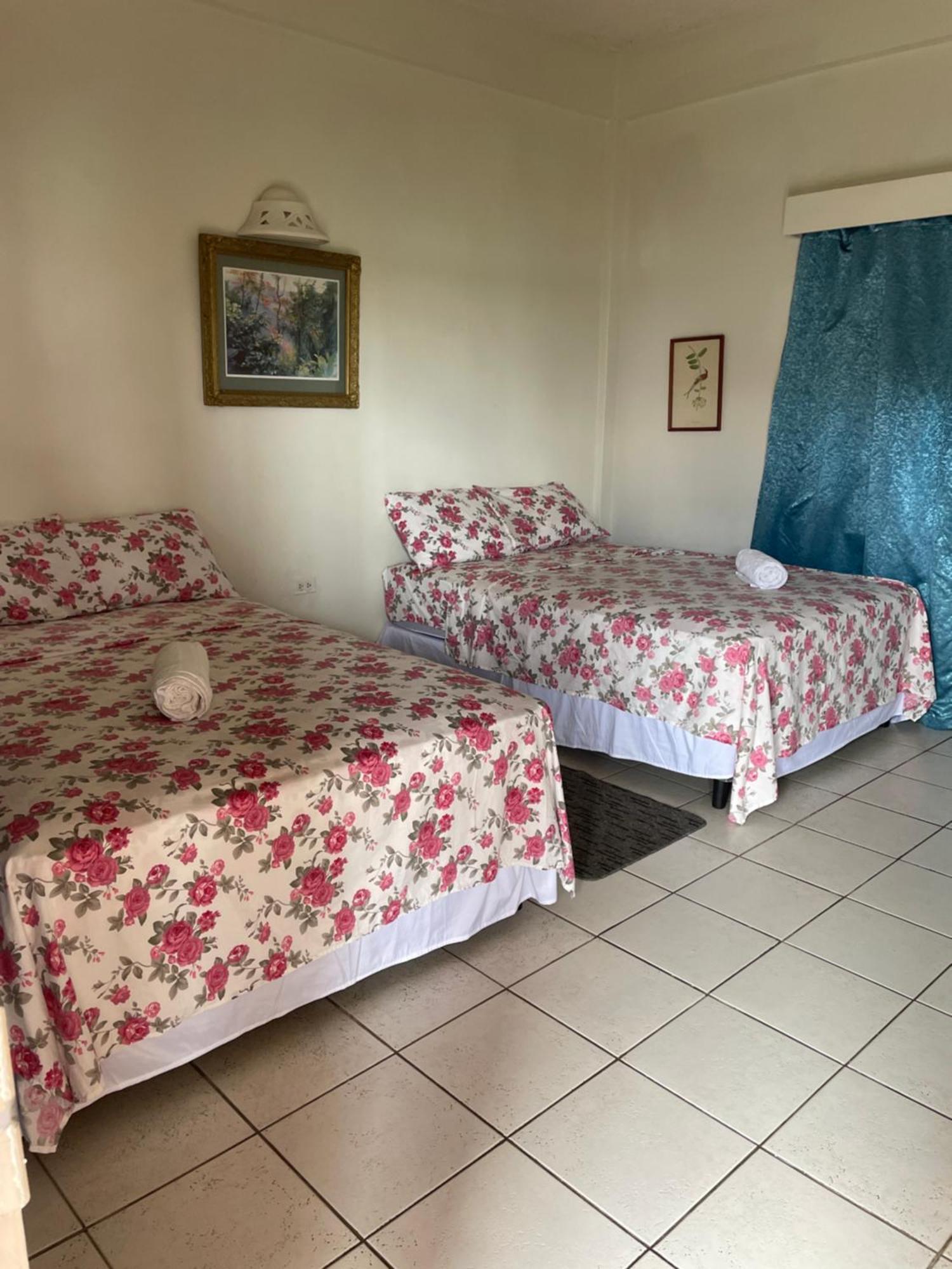 The Seaside Garden Guesthouse Buccoo Luaran gambar